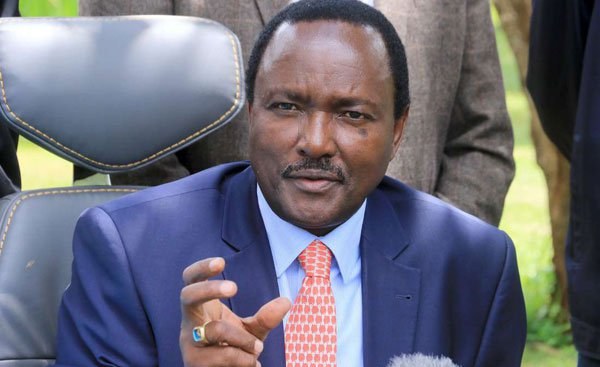 kalonzo says that the party fully supports azimio rallies